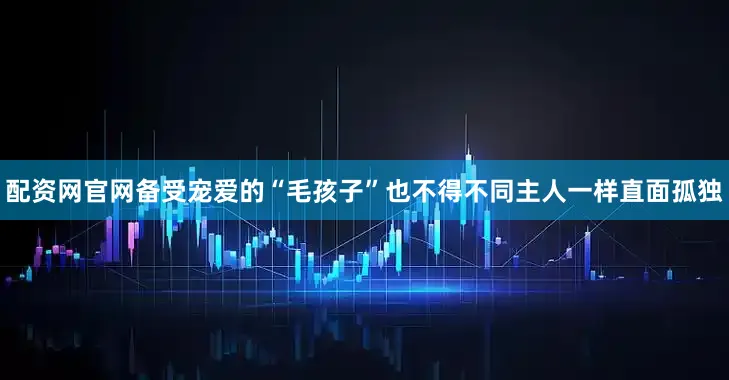配资网官网备受宠爱的“毛孩子”也不得不同主人一样直面孤独