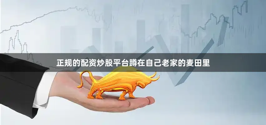 正规的配资炒股平台蹲在自己老家的麦田里